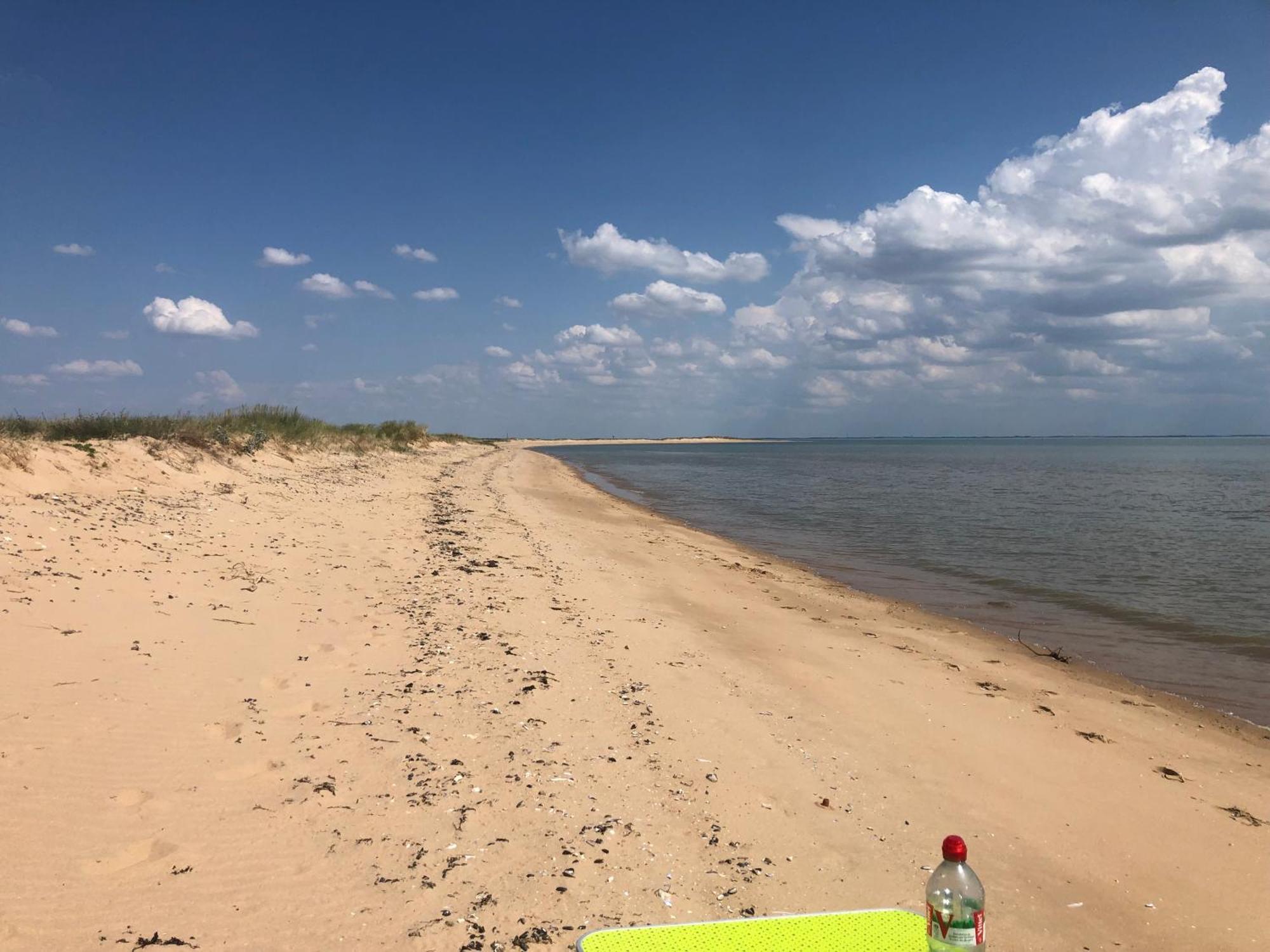 Вілла Oceane Champagne-les-Marais Екстер'єр фото